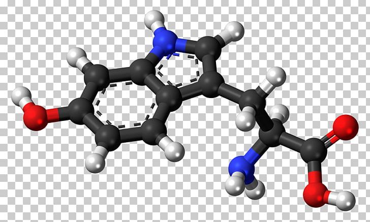 Branched-chain Amino Acid 5-Hydroxytryptophan Levodopa Capsule PNG, Clipart, 5hydroxytryptophan, Acid, Amino Acid, Biosynthesis, Body Jewelry Free PNG Download