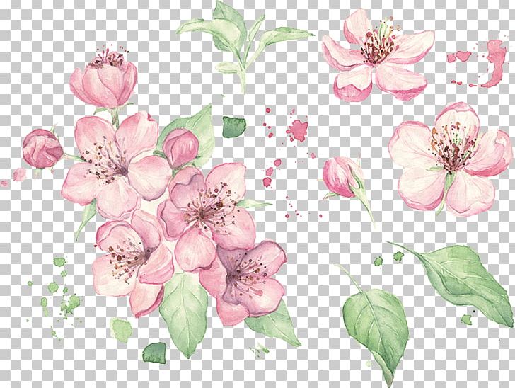 Floral Design Watercolor Painting Stock Photography PNG, Clipart, Art, Banco De Imagens, Blossom, Branch, Cherry Blossom Free PNG Download