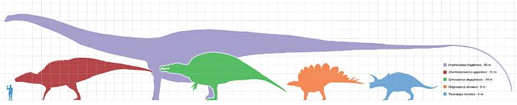 Seismosaurus Amphicoelias Argentinosaurus Dinosaur Size Supersaurus PNG, Clipart, Amphicoelias, Apatosaurus, Area, Argentinosaurus, Brand Free PNG Download