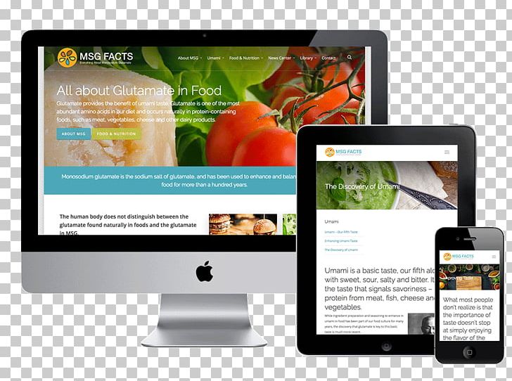 Website Development Responsive Web Design Web Page WordPress Website PNG, Clipart, Brand, Bright Trend, Brochure, Business, Designer Free PNG Download