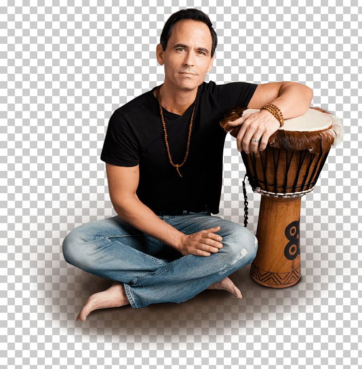 Djembe Tom-Toms Hand Drums Percussion PNG, Clipart,  Free PNG Download