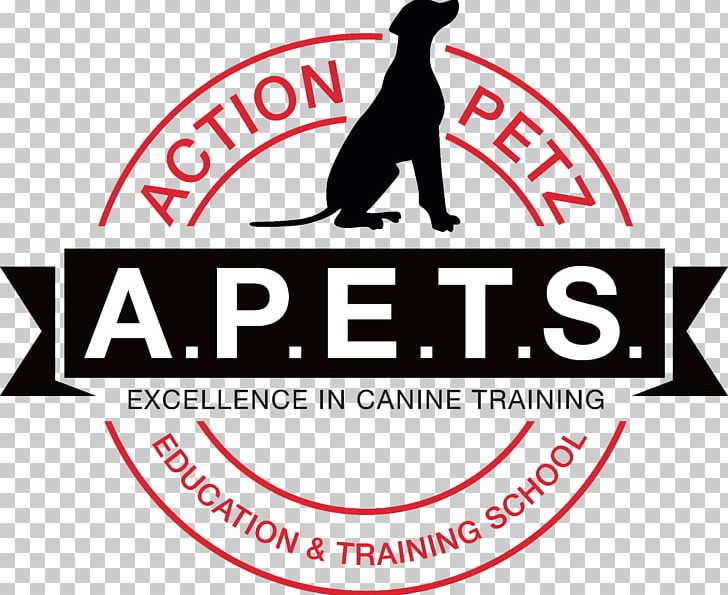 Dog Training Action Petz Bridgend Action Petz Newport Dog Park PNG, Clipart, Animals, Area, Brand, Bridgend County Borough, Diogi Pet Services And Training Free PNG Download