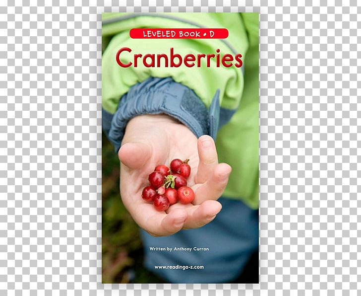 E-book Reading E-Readers Information PNG, Clipart, Arizona, Berry, Book, Cranberries, Ebook Free PNG Download