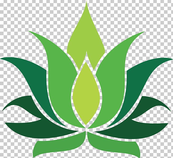 Nelumbo Nucifera PNG, Clipart, Artwork, Clip Art, Computer Icons, Flora, Flower Free PNG Download