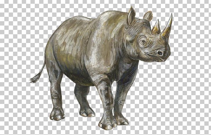 Rhinoceros Mammal Les Rhinocéros PNG, Clipart, Animal, Cattle Like Mammal, Data, Data Compression, Fauna Free PNG Download