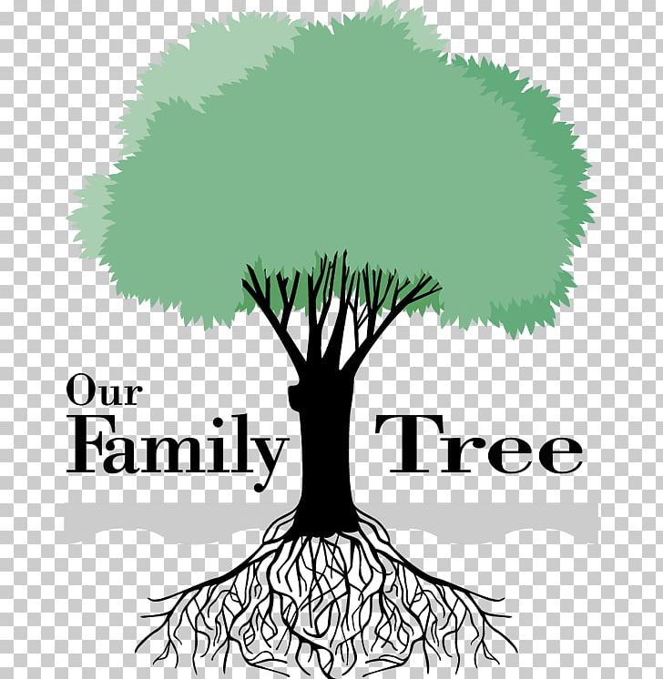 Your Family Tree Genealogy PNG, Clipart, Area, Artwork, Black And White, Branch, Child Free PNG Download