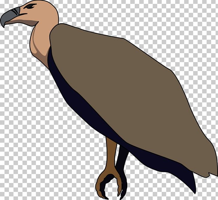Beaky Buzzard Turkey Vulture PNG, Clipart, Beak, Beaky Buzzard, Bird, Bird Of Prey, Buzzard Free PNG Download