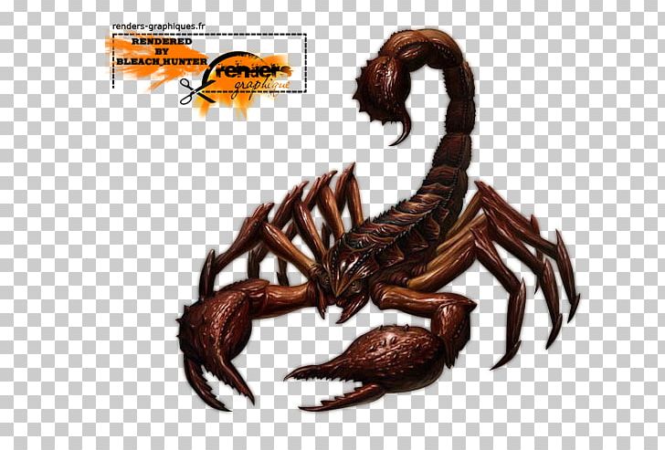 Scorpion Arachnid Tattoo PNG, Clipart, Animal Source Foods, Arachnid, Art, Arthropod, Color Free PNG Download