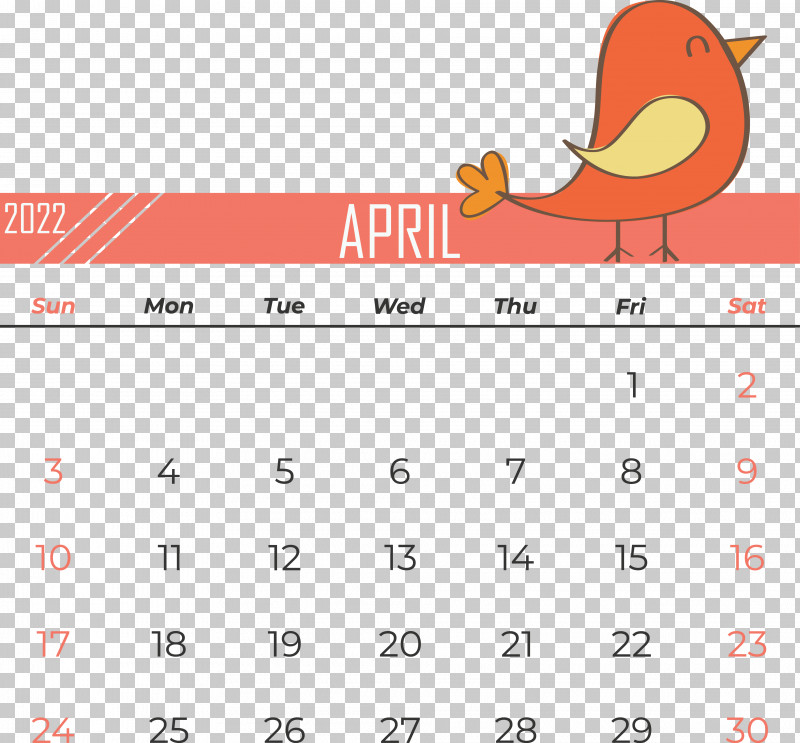 Cartoon Line Calendar Beak Meter PNG, Clipart, Beak, Calendar, Cartoon, Geometry, Line Free PNG Download