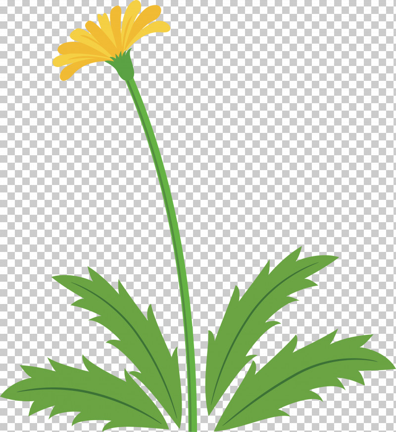 Dandelion Flower Easter Day Flower Spring Flower PNG, Clipart, Chamomile, Dandelion Flower, Easter Day Flower, English Marigold, Flower Free PNG Download