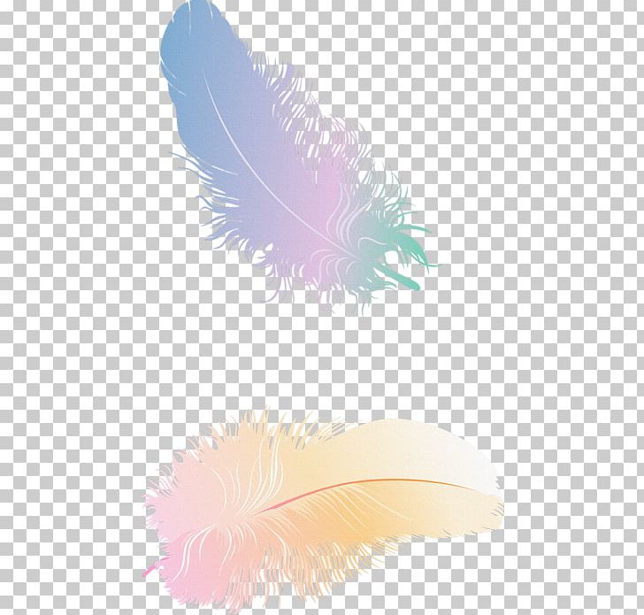 Feather PNG, Clipart, Animals, Feather, Kus, Quill, Wing Free PNG Download