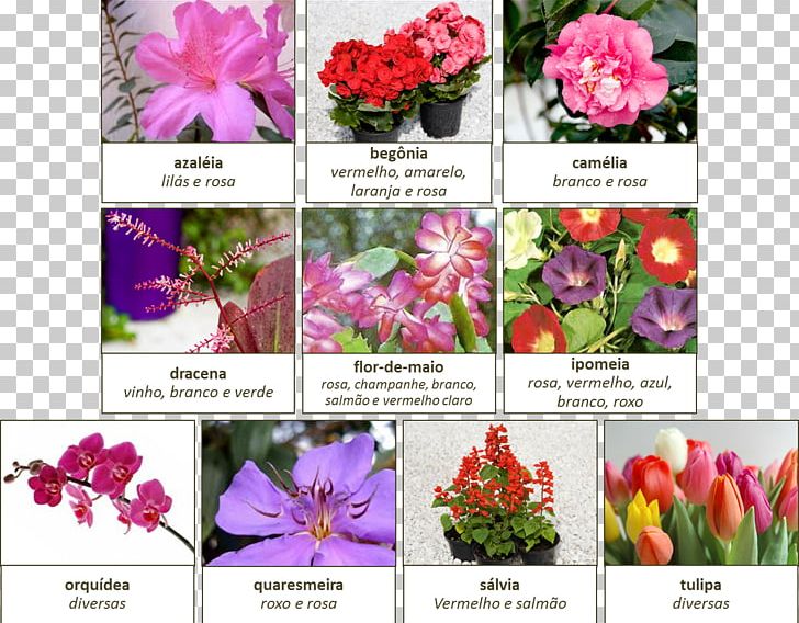 Floral Design Cut Flowers Petal Autumn PNG, Clipart, 2012, Annual Plant, April, Auglis, Autumn Free PNG Download