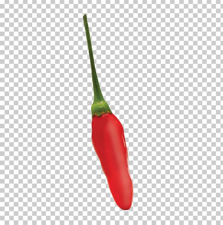Habanero Tabasco Pepper Jalapeño Serrano Pepper Cayenne Pepper PNG, Clipart,  Free PNG Download