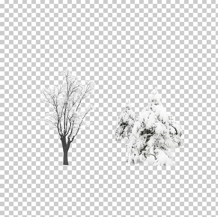Snow Tree Computer File PNG, Clipart, Black, Black And White, Branch, Christmas Tree, Computer Wallpaper Free PNG Download