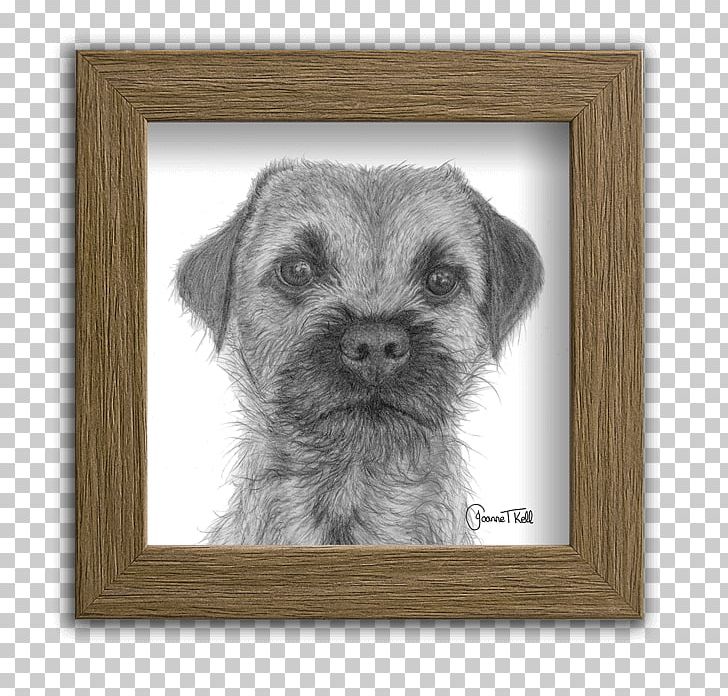 Border Terrier Norfolk Terrier Schnoodle Puppy Companion Dog PNG, Clipart, Animals, Border Terrier, Breed, Carnivoran, Companion Dog Free PNG Download