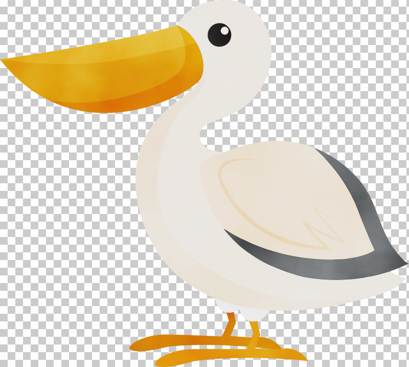 Duck Beak Seabird PNG, Clipart, Beak, Bird, Cartoon Bird, Cute Bird, Duck Free PNG Download