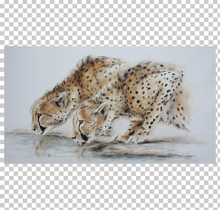 Cheetah Leopard Jaguar Hare Lion PNG, Clipart, Animal, Animals, Big Cats, Boxing, Carnivoran Free PNG Download