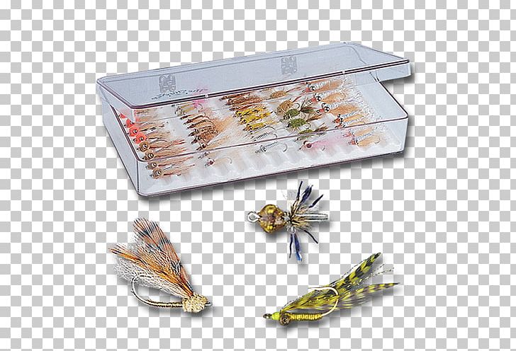 Fly Fishing Bonefish Grill Crazy Charlie PNG, Clipart, Angling, Animal Source Foods, Bitters, Bonefish, Bonefishes Free PNG Download