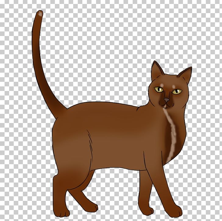 Havana Brown Tonkinese Cat Kitten Whiskers Domestic Short-haired Cat PNG, Clipart, Animal, Animals, Asian, Burmese, Canidae Free PNG Download