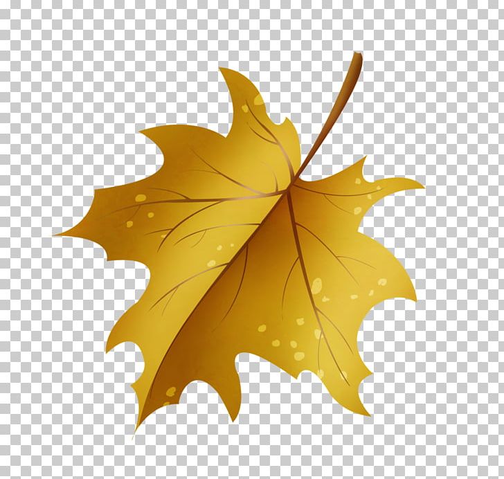 Maple Leaf Drawing Green PNG, Clipart, Animaatio, Autumn, Brown, Cartoon, Color Free PNG Download