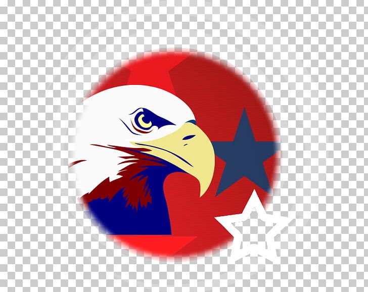Bald Eagle Logo Beak Blue PNG, Clipart, American Eagle Outfitters, Animals, Bald Eagle, Beak, Bird Free PNG Download