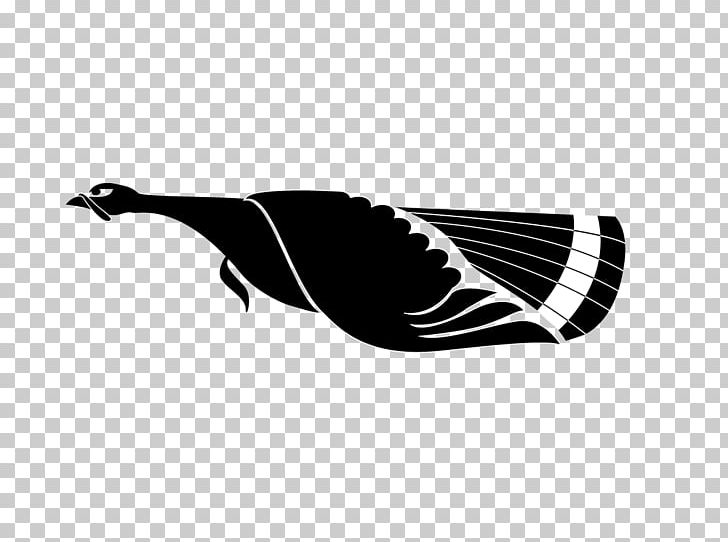 Beak Black Water Bird Silhouette PNG, Clipart, Animals, Beak, Bird, Black, Black And White Free PNG Download
