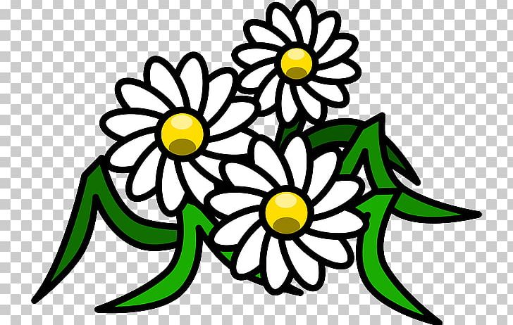 Common Daisy PNG, Clipart, Art, Artwork, Black And White, Common Daisy, Cut Flowers Free PNG Download