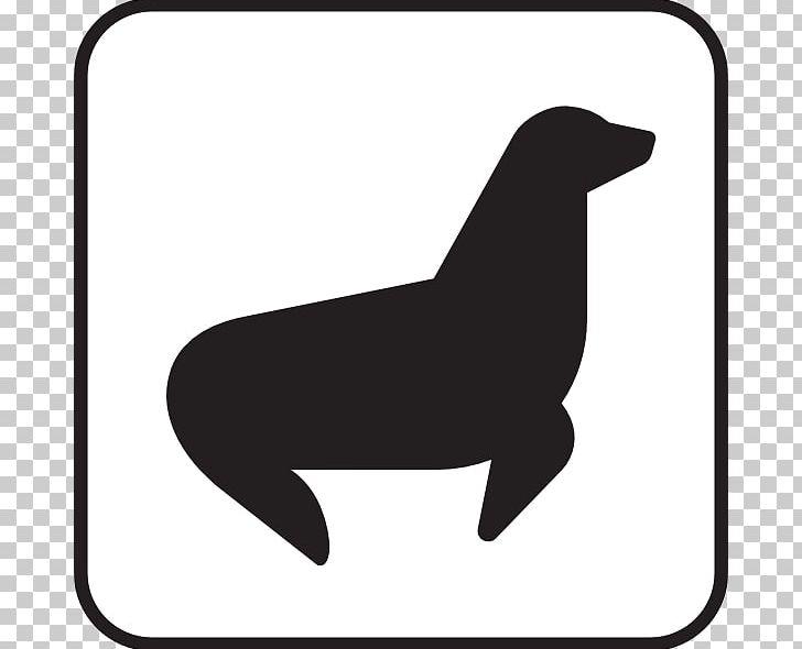 Pinniped Computer Icons PNG, Clipart, Black, Black And White, Blog, Carnivoran, Computer Icons Free PNG Download