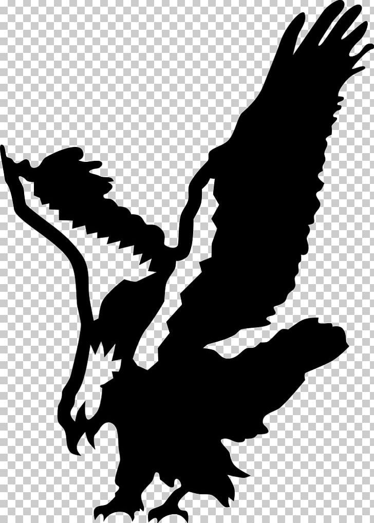 Bald Eagle Decal Hawk Art PNG, Clipart, Accipitriformes, African Fish Eagle, Animals, Art, Bald Eagle Free PNG Download