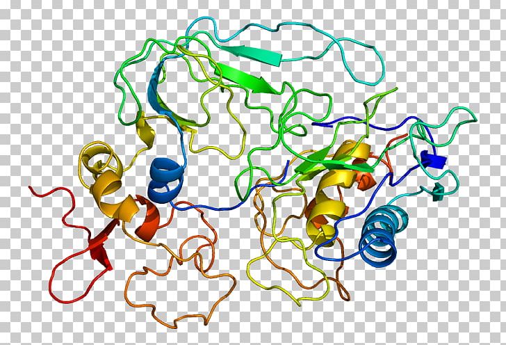 CD47 Signal-regulatory Protein Alpha Macrophage PNG, Clipart, Antibody, Area, Art, Body Jewelry, Cancer Free PNG Download