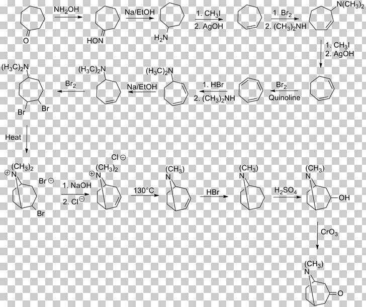 Tropinone Chemical Synthesis Total Synthesis Organic Synthesis Chemistry PNG, Clipart, Alkaloid, Angle, Area, Atropine, Black And White Free PNG Download
