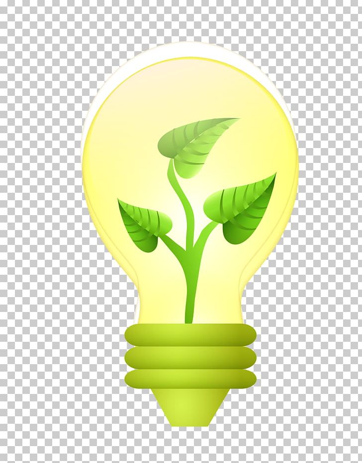 Euclidean Icon PNG, Clipart, Botany, Bulb, Bulbs, Download, Encapsulated Postscript Free PNG Download