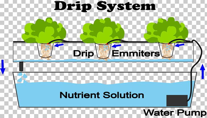 Hydroponics Drip Irrigation Aquaponics Nutrient Agriculture PNG, Clipart, Agriculture, Aquaponics, Area, Brand, Cartoon Free PNG Download