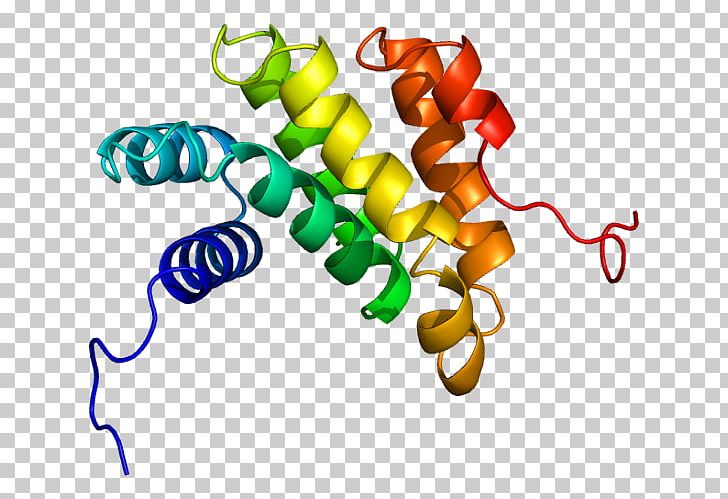 PDCD4 Protein Gene Tafazzin Oncomir PNG, Clipart, Artwork, Cell, Eif4a, Elongation Factor, Gene Free PNG Download