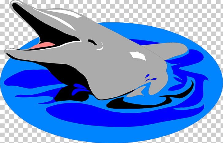 Dolphin PNG, Clipart, Bottlenose Dolphin, Cartilaginous Fish, Mammal, Marine Biology, Marine Mammal Free PNG Download