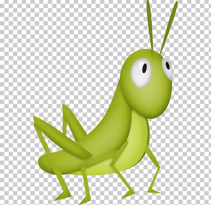 The Ant And The Grasshopper Cricket PNG, Clipart, Amphibian, Animal, Ant And The Grasshopper, Child, Cicadoidea Free PNG Download