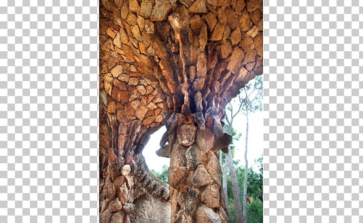 Wood /m/083vt PNG, Clipart, Gaudi, M083vt, Nature, Plant, Tree Free PNG Download