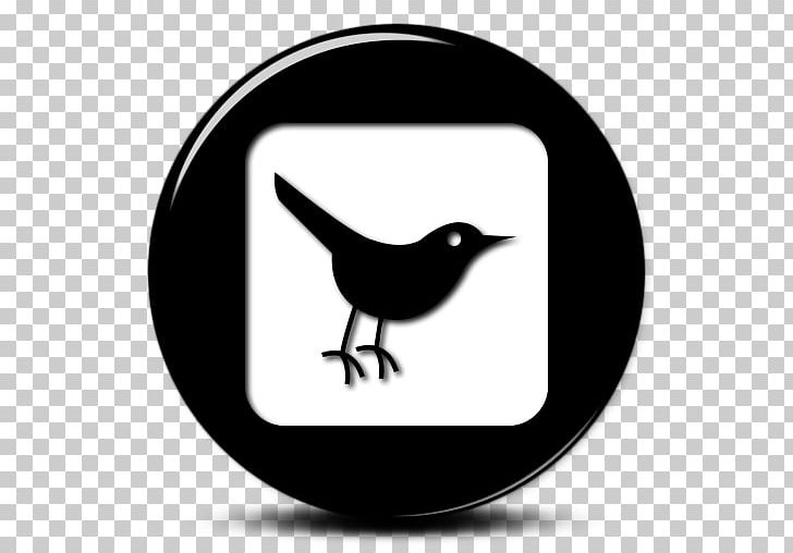 Bird Computer Icons Social Media Social Networking Service PNG, Clipart, Animals, Beak, Bird, Black And White, Computer Icons Free PNG Download