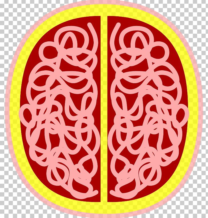 Brain Organism Line PNG, Clipart, Area, Brain, Circle, Line, Organ Free PNG Download