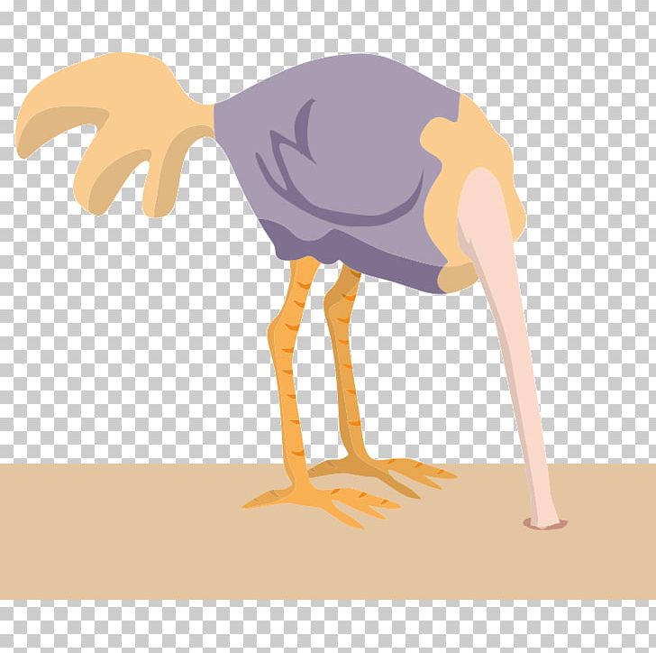Common Ostrich Bird Sand PNG