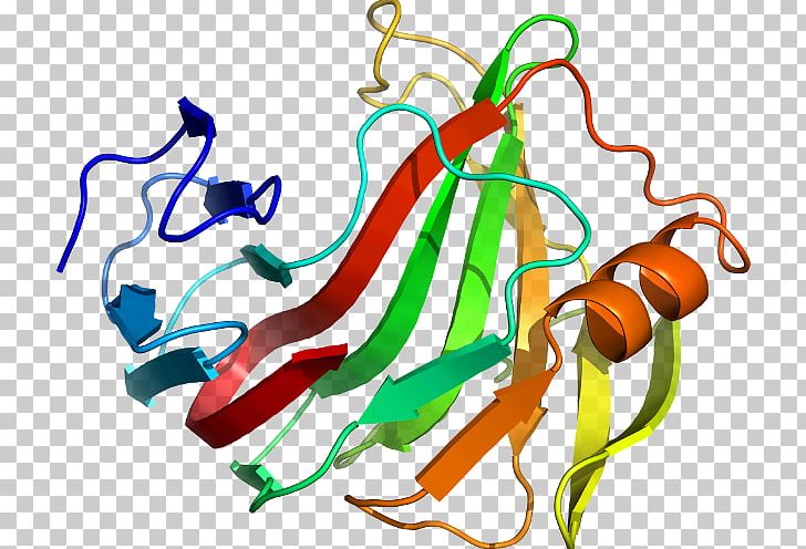 E2F4 Protein Gene Expression Transcription Factor PNG, Clipart, Artwork, Cell, Cell Cycle, Dna, Food Free PNG Download