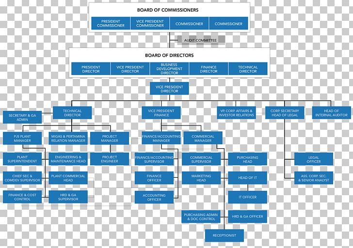 Hierarchical Organization Diagram Corporate Structure Corporation PNG, Clipart, Angle, Area, Board Of Directors, Business, Diagram Free PNG Download