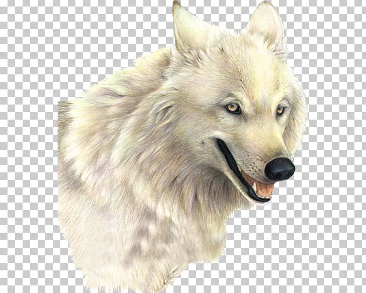 Dog Arctic Wolf PNG, Clipart, Animals, Background White, Black White, Carnivoran, Dog Breed Free PNG Download