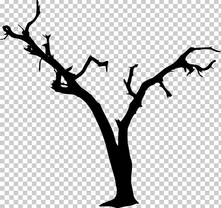Tree Silhouette Photography PNG, Clipart, Art, Artwork, Black And White, Branch, Clip Art Free PNG Download