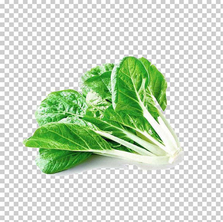 China Chinese Cabbage Bok Choy Vegetable PNG, Clipart, Blood Vessel, Bok Choy, Brass, Brassica, Cabbage Free PNG Download