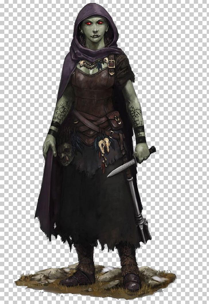 Dungeons & Dragons Pathfinder Roleplaying Game Half-orc Rogue PNG, Clipart, Action Figure, Amp, Armour, Barbarian, Cartoon Free PNG Download