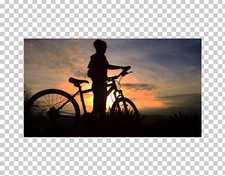 Road Bicycle Graphic Design Cropping Cycling PNG, Clipart, Bicycle, Cropping, Cycling, Graphic Design, Hybrid Bicycle Free PNG Download
