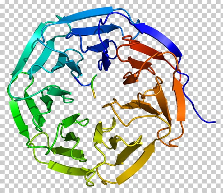 WDR5 WD40 Repeat Protein Family Acetyltransferase PNG, Clipart, Acetyltransferase, Animal Figure, Area, Chromatin, Gene Free PNG Download