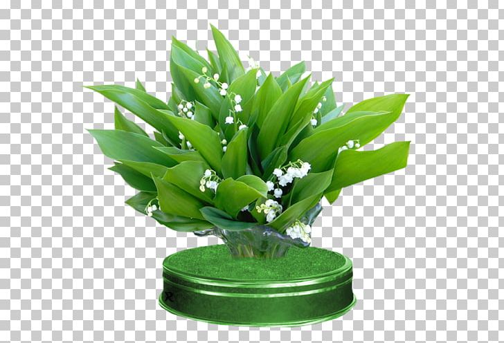 Lily Of The Valley Flower Leaf PNG, Clipart, Albom, Animaatio, Aquarium Decor, Cartoon, Flower Free PNG Download