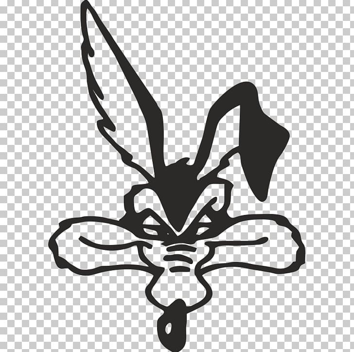Wile E. Coyote And The Road Runner Decal Sticker Looney Tunes PNG, Clipart, Adhesive, Black, Bumper Sticker, Cartoon, Fictional Character Free PNG Download